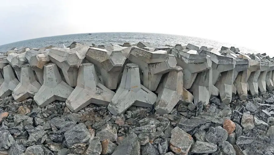 Chellanam Tetrapod