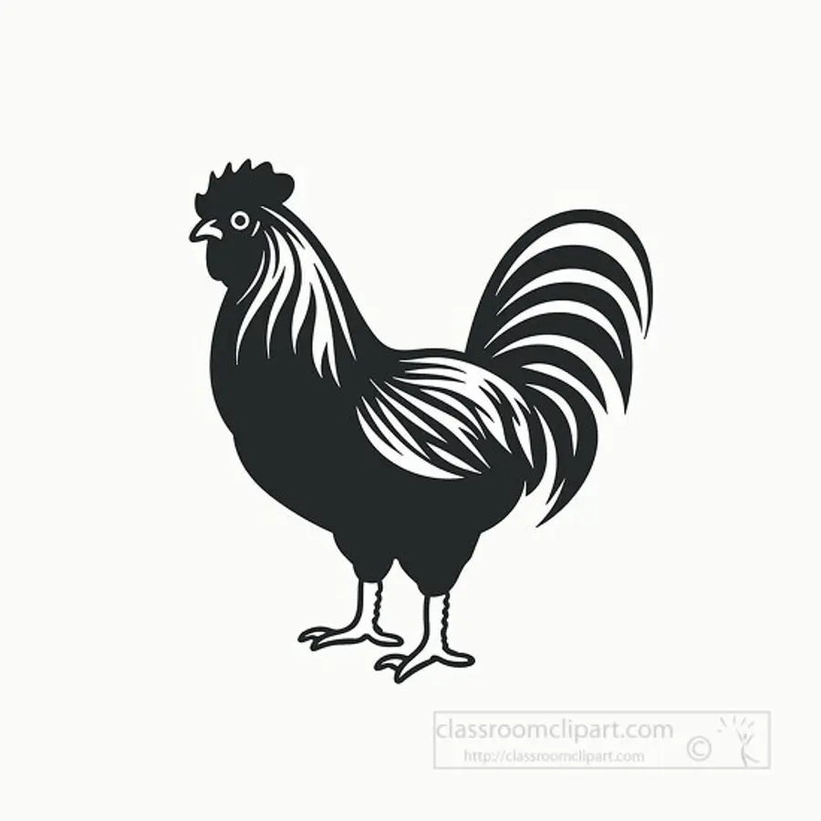 chicken