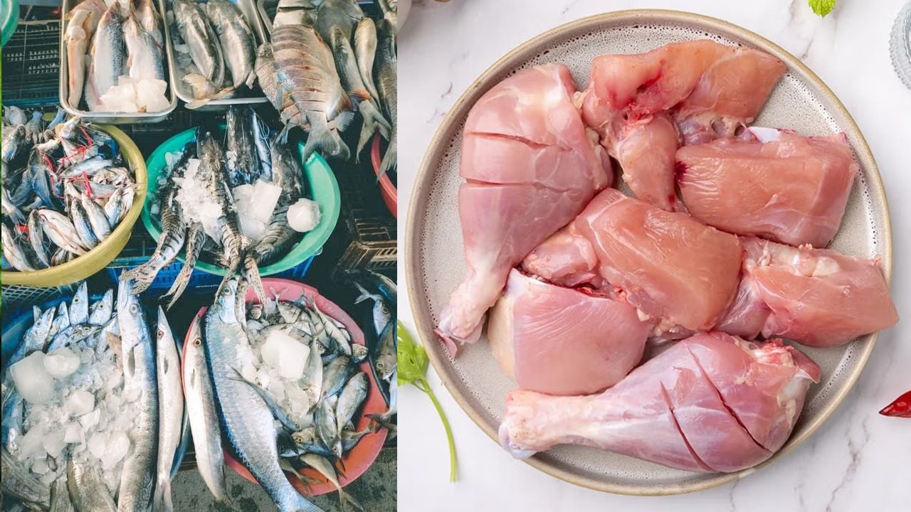 chicken fish