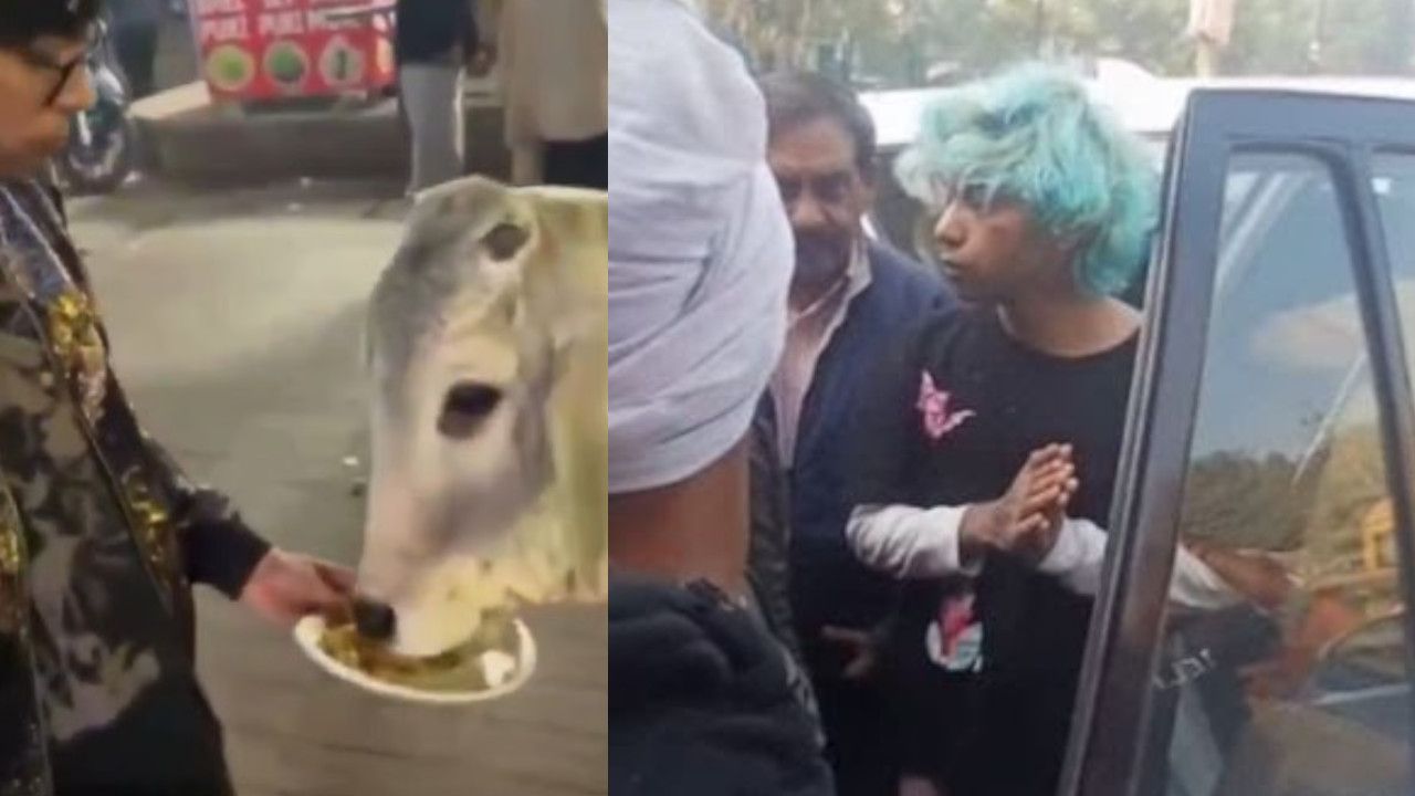 chicken momos to cow.jpg