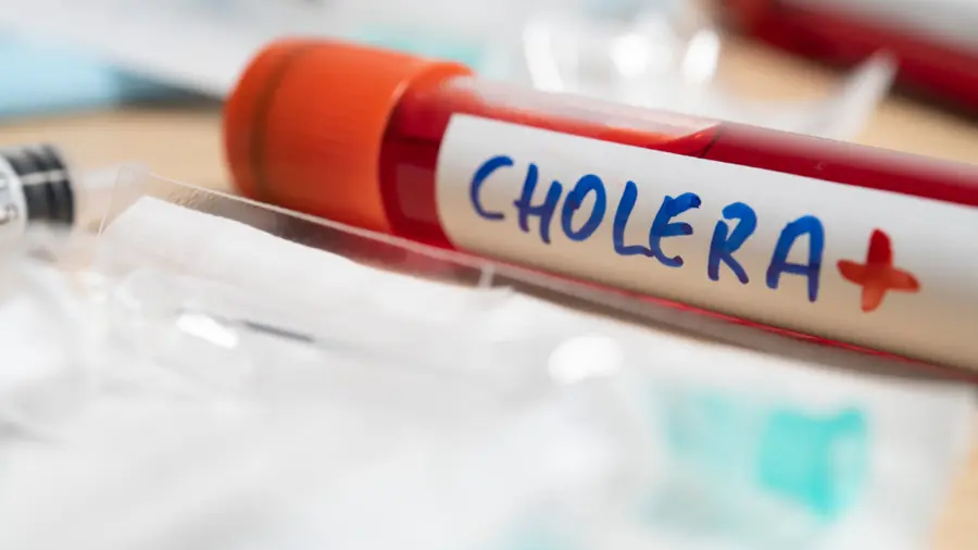 cholera