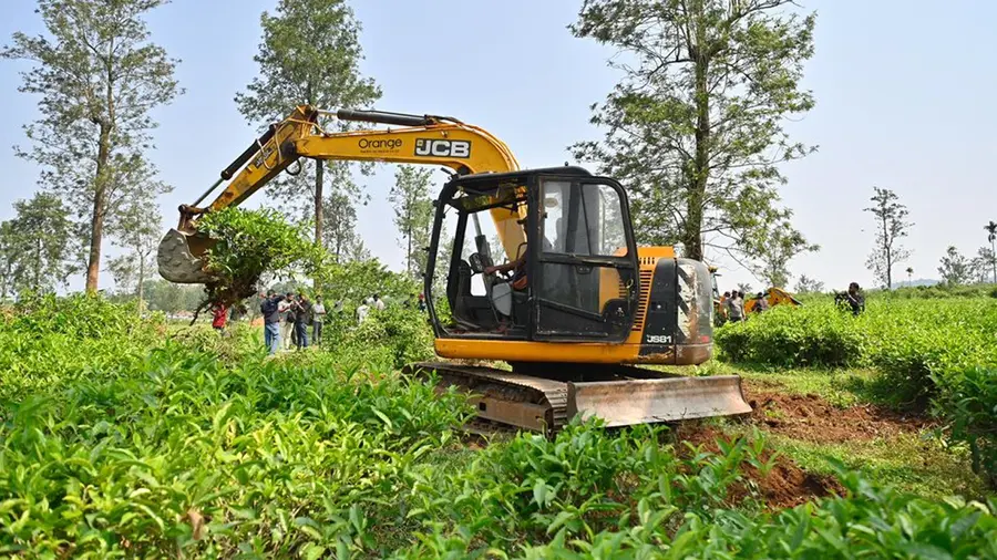 chooralmala-mundakai-rehabilitation
