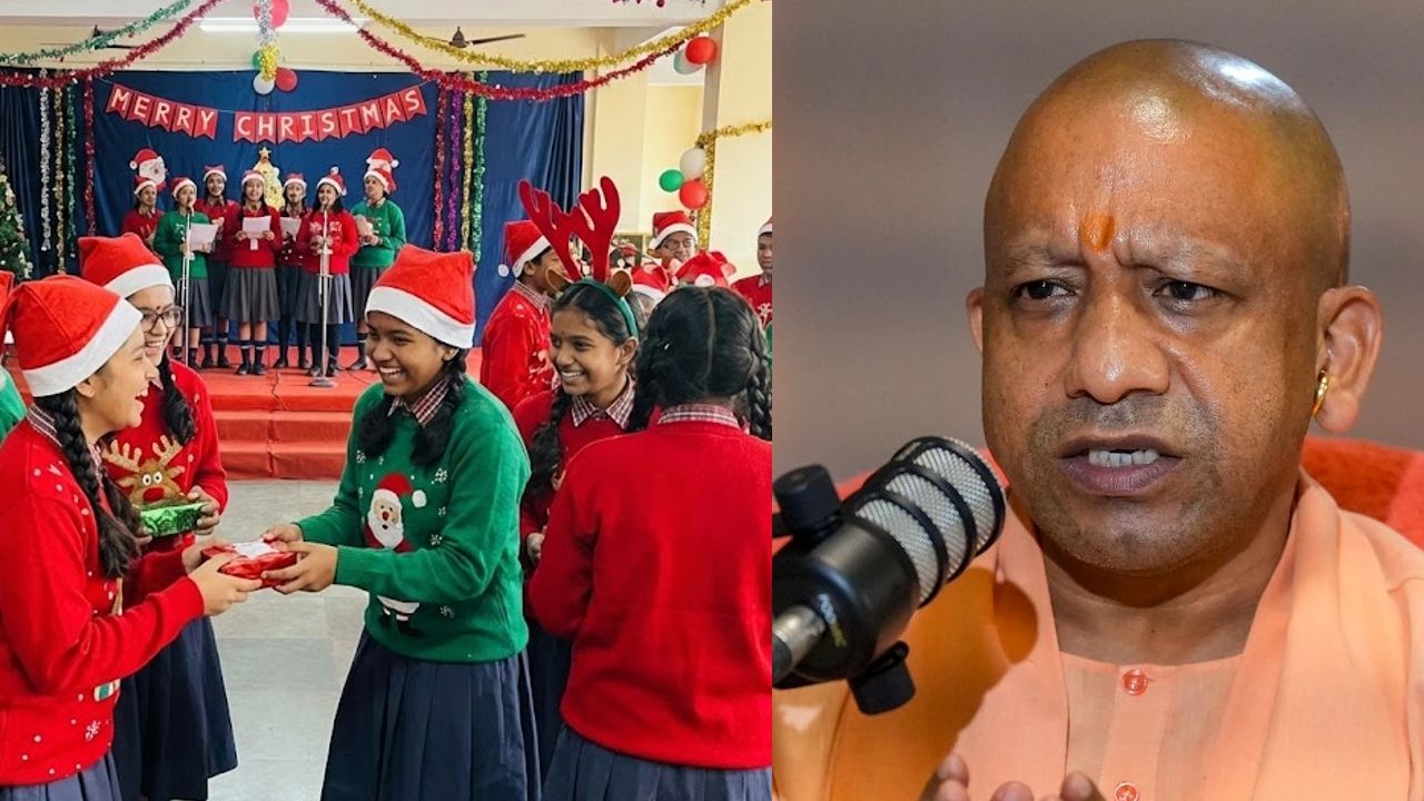 yogi