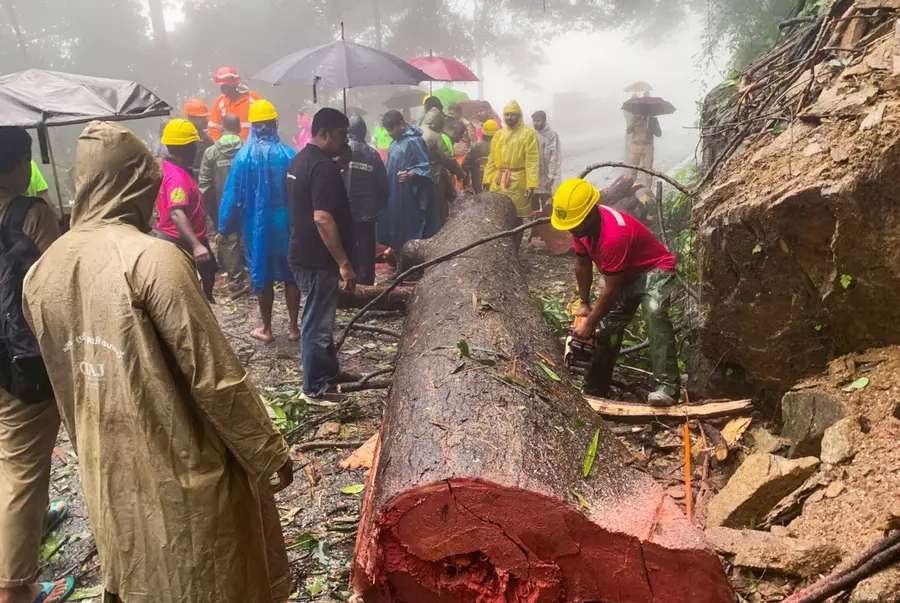 താമരശ്ശേരി ചുരത്തിലെ ഒമ്പതാം വളവിന് സമീപം അപകടഭീഷണിയുയർത്തിയ മരം മുറിച്ചുമാറ്റുന്നു