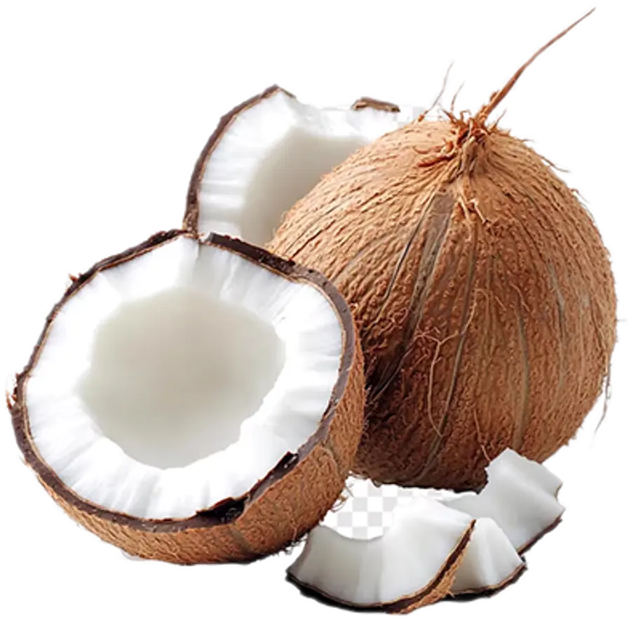 coconut