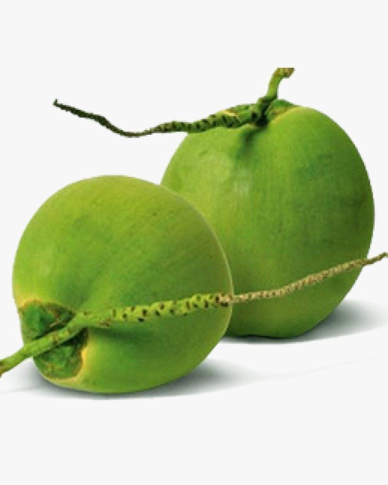 വെളിച്ചെണ്ണ  വിലയും കൂടി