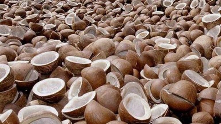 Coconut Oil Price Hike