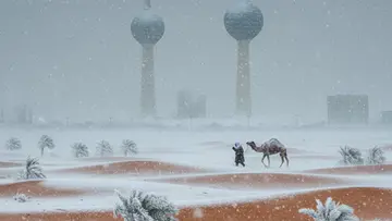 cold uae