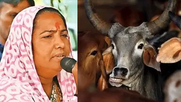 congress1.