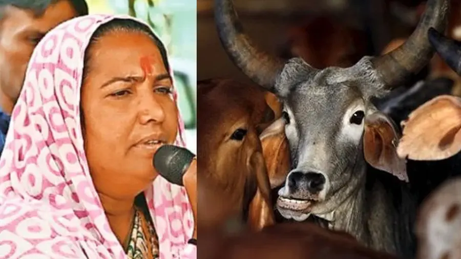 congress1.