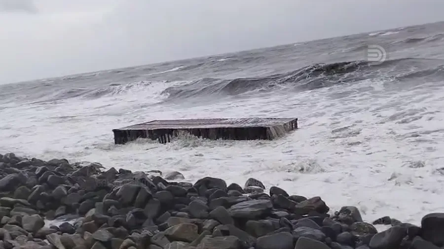 MSC ELSA 3 container