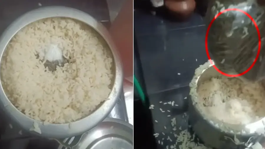 cooker ganja