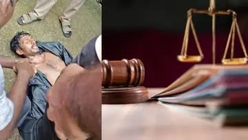 Magistrate 