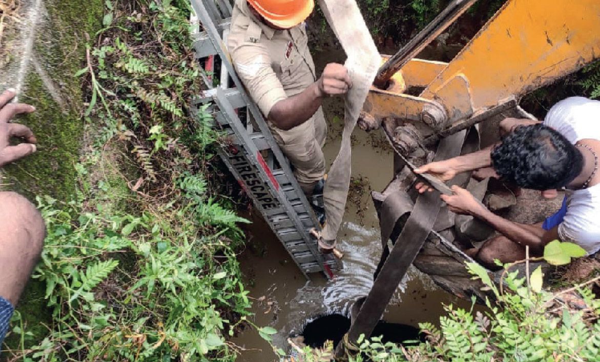 cow rescue
