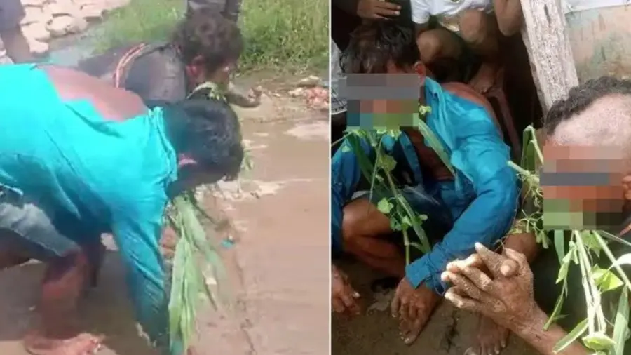 cow dalit