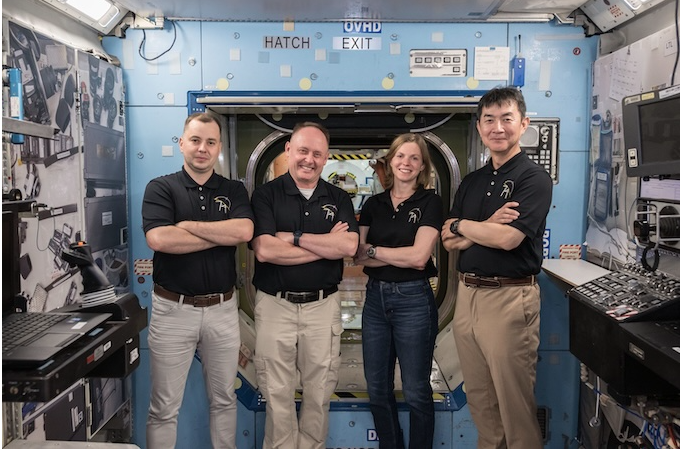 crew 11