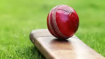 cricket