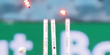 cricket