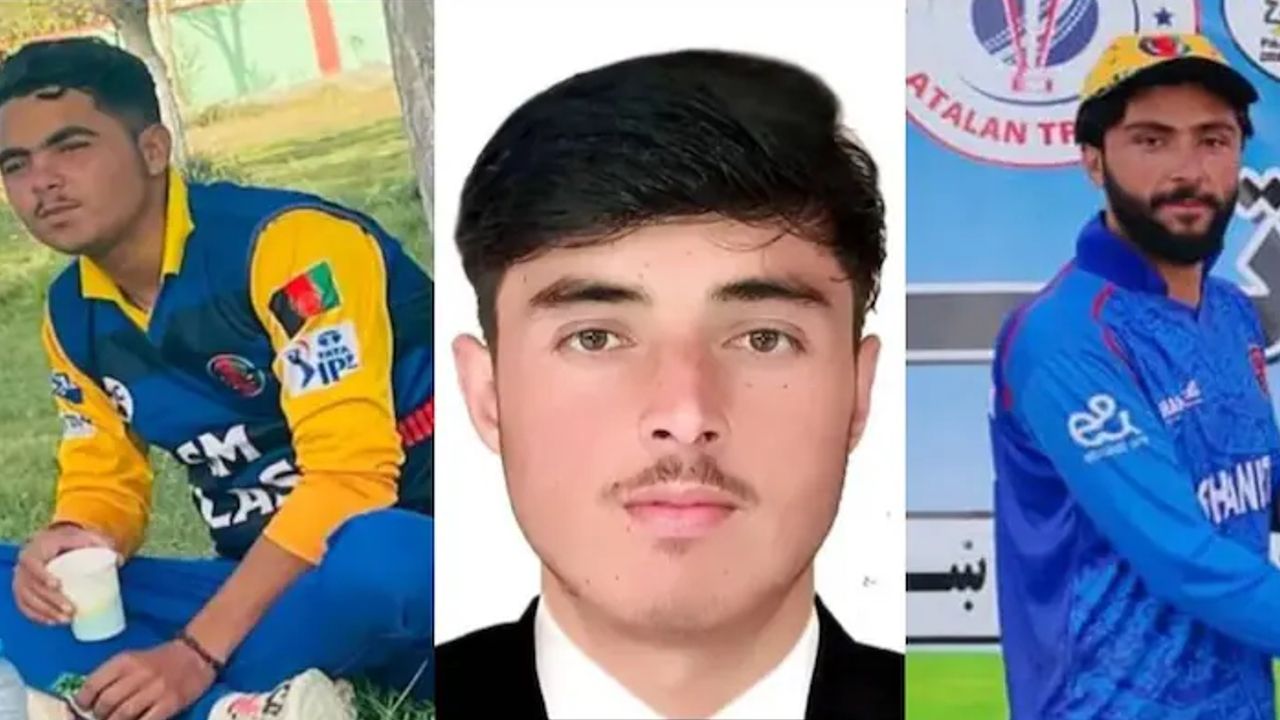cricket killed
