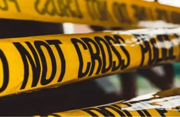 crime