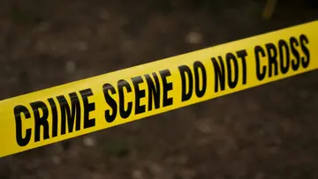 crime murder 