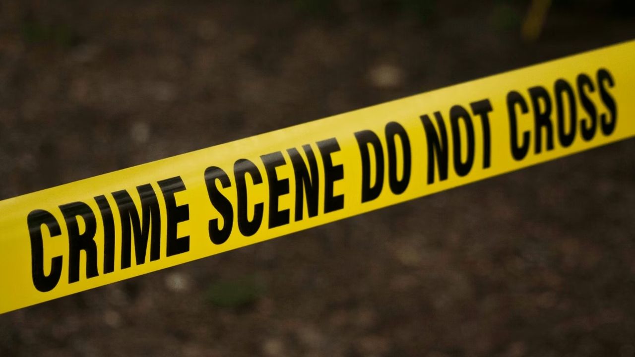 crime murder 