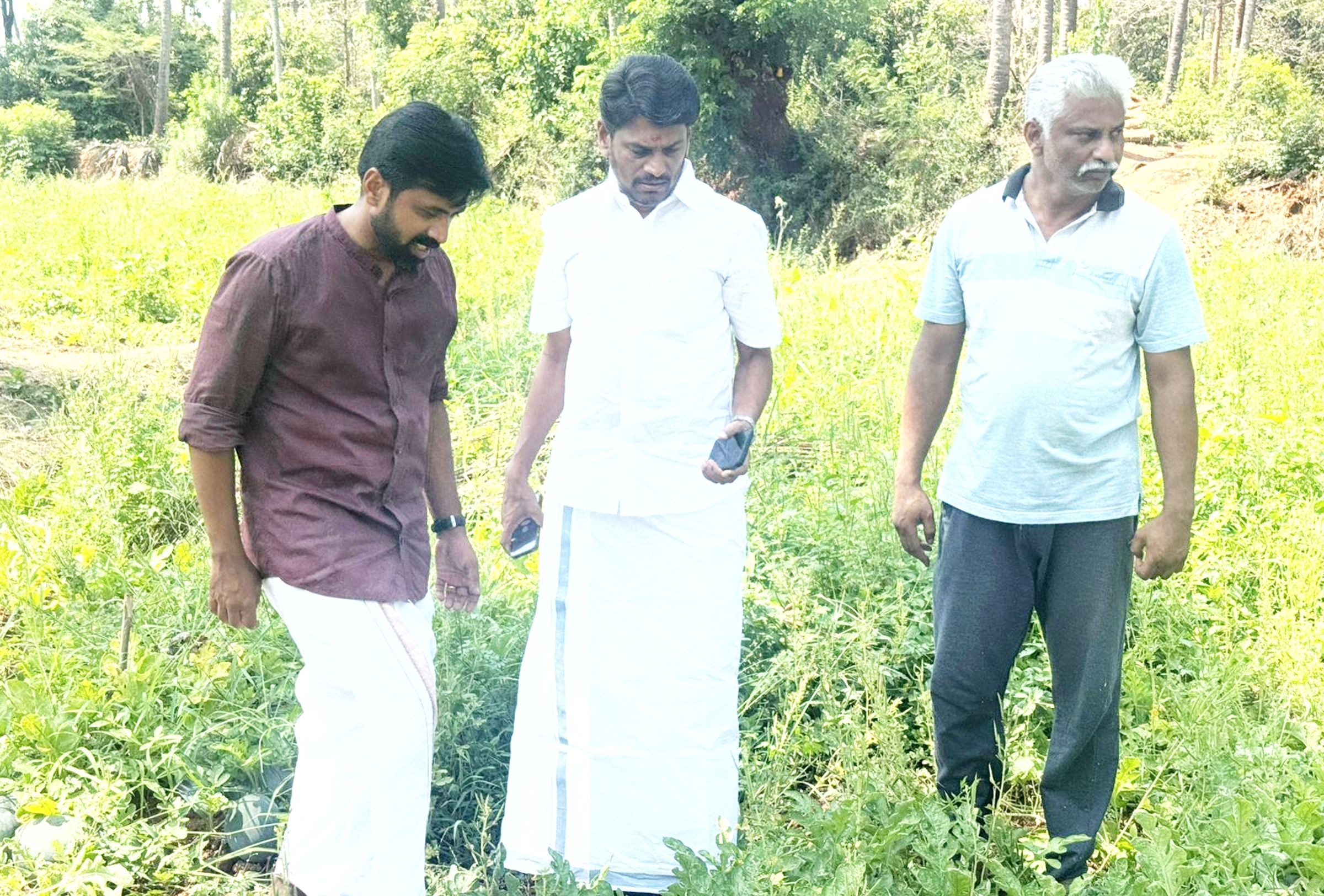 ചിറ്റൂരിന്റെ മണ്ണിൽ വിളഞ്ഞ തണ്ണിമത്തൻ വിളവെടുപ്പ് കെഎസ്‍ഇബി സ്വതന്ത്ര ഡയറക്ടർ അഡ്വ. വി മുരുകദാസ് ഉദ്ഘാടനം ചെയ്യുന്നു