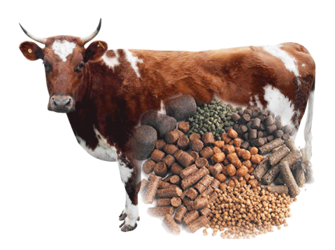 cattlefeed