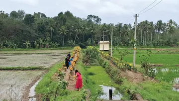 ജില്ലാ പഞ്ചായത്ത് തഴക്കര അറുനൂറ്റിമംഗലം സ്റ്റേറ്റ് സീഡ് ഫാമിൽ നടപ്പാക്കുന്ന ഫാം ടൂറിസം പദ്ധതി