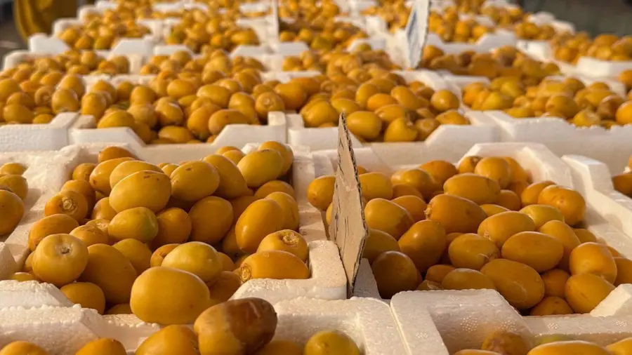 dates
