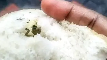 dead lizard found inside bread in Edakochi bakery