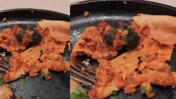 dead rat in food