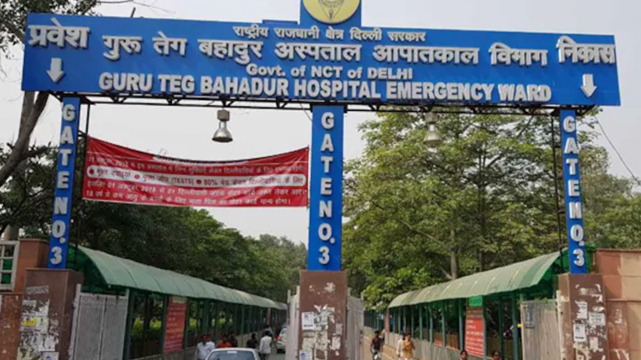 delhi