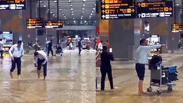 delhi
