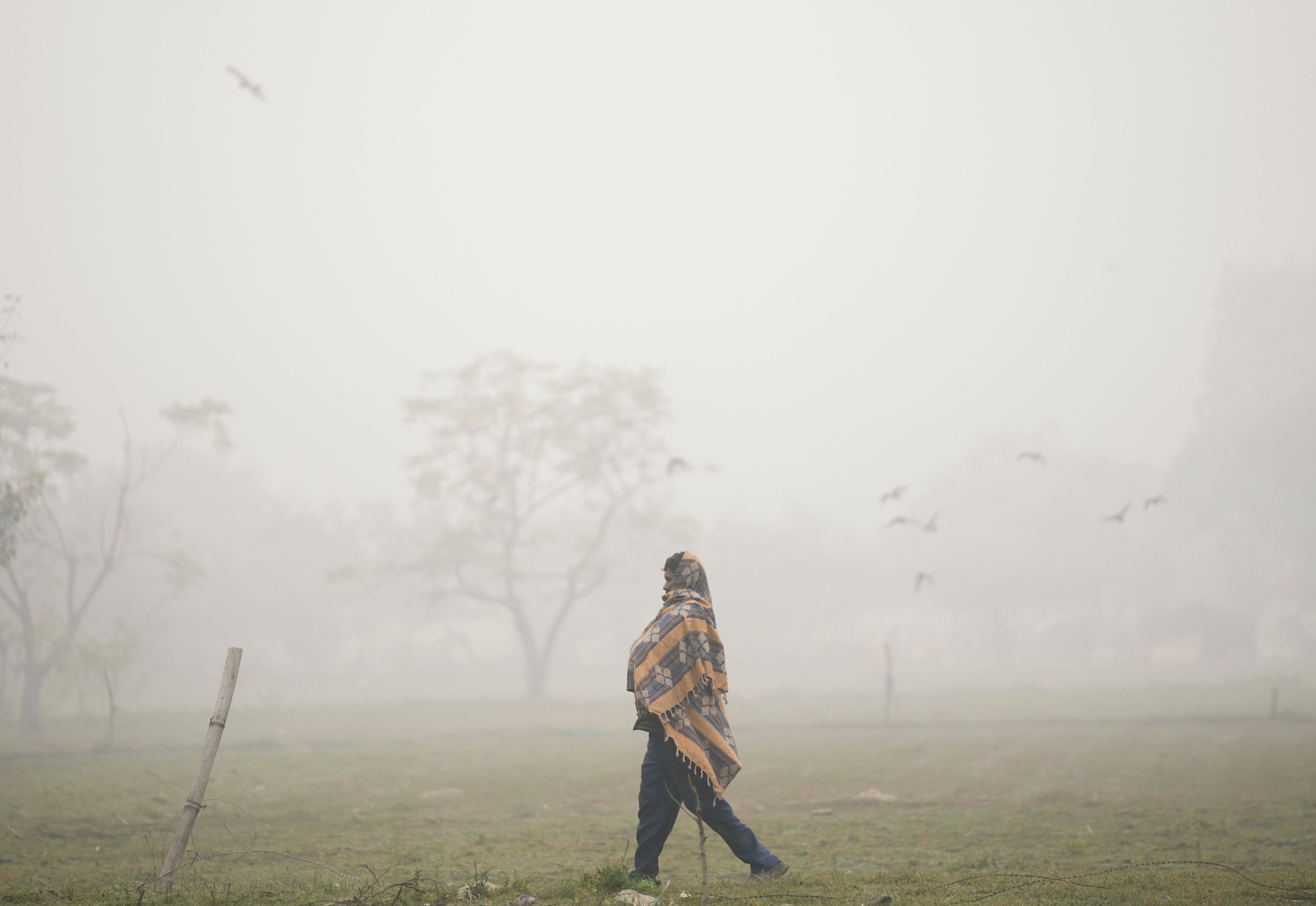 delhi air