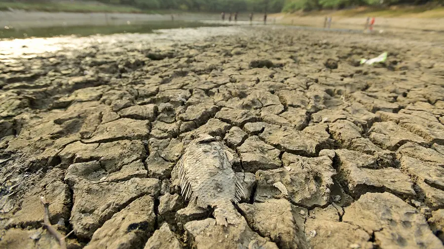 delhi extreme heat