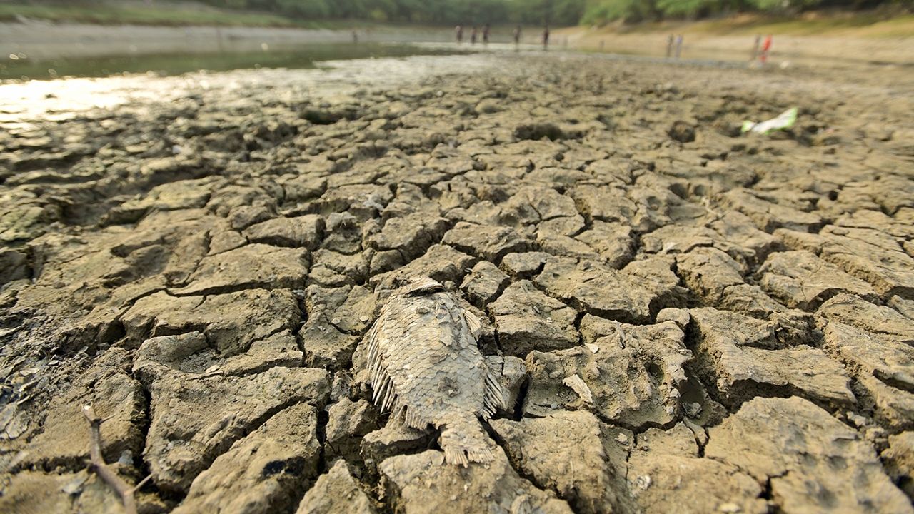 delhi extreme heat