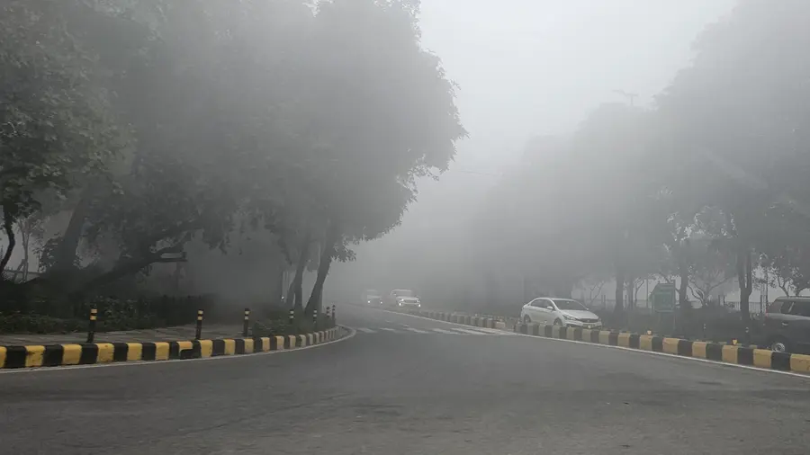 delhi fog