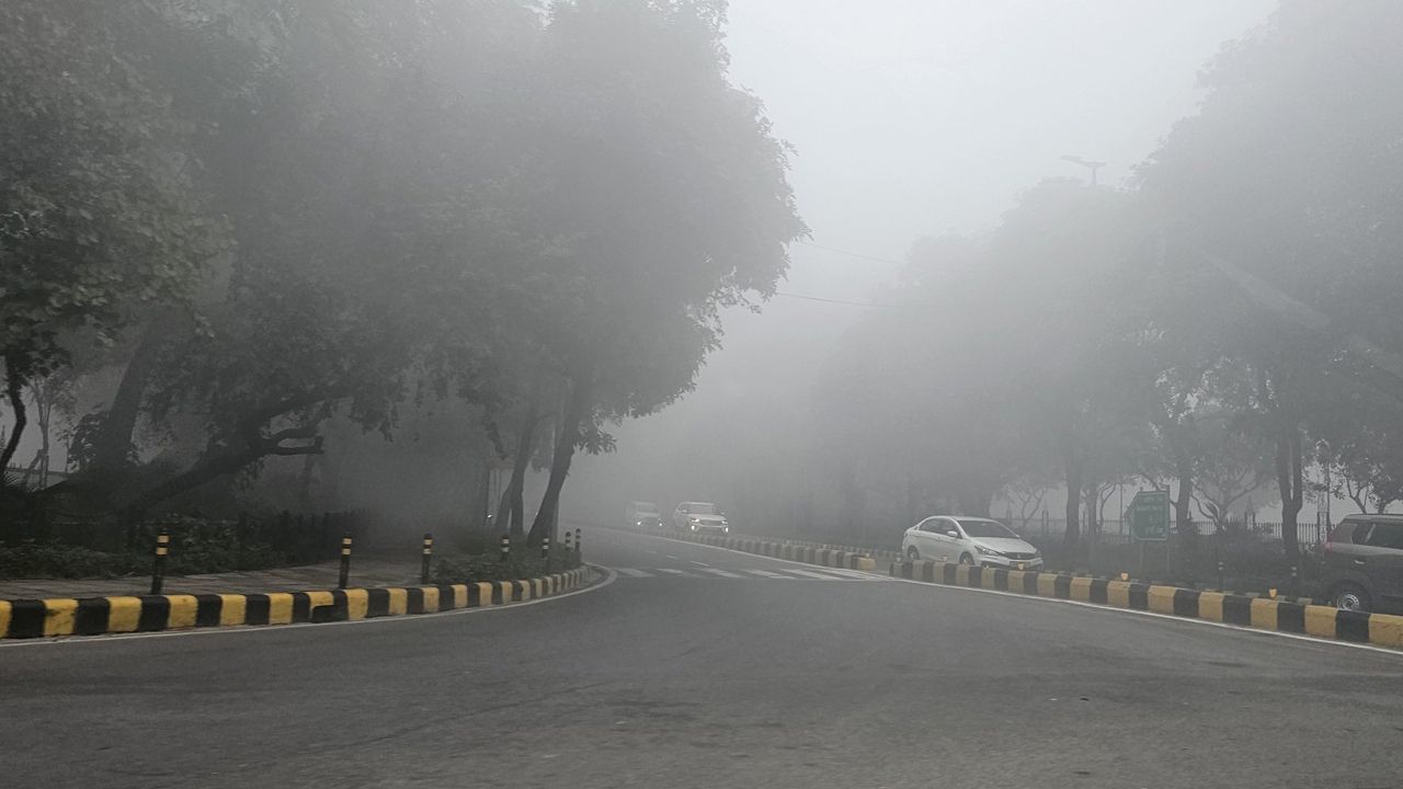 delhi fog