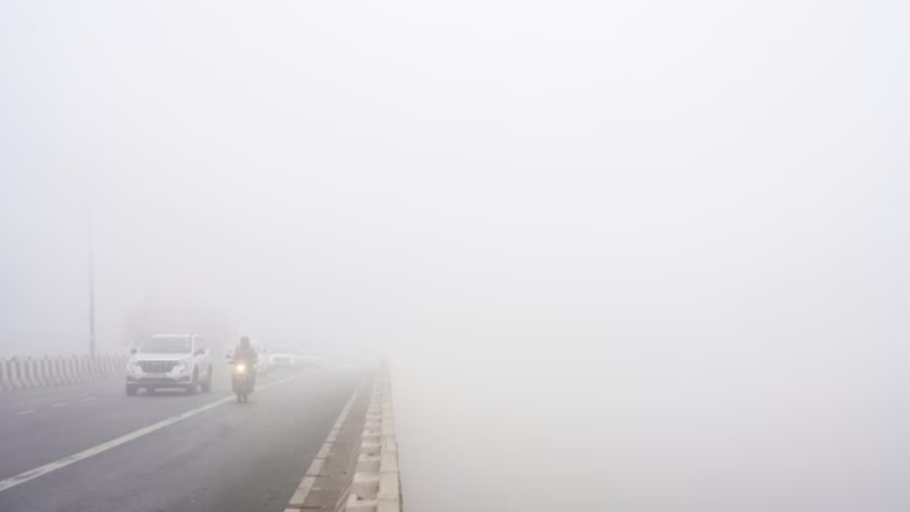 delhi ncr fog