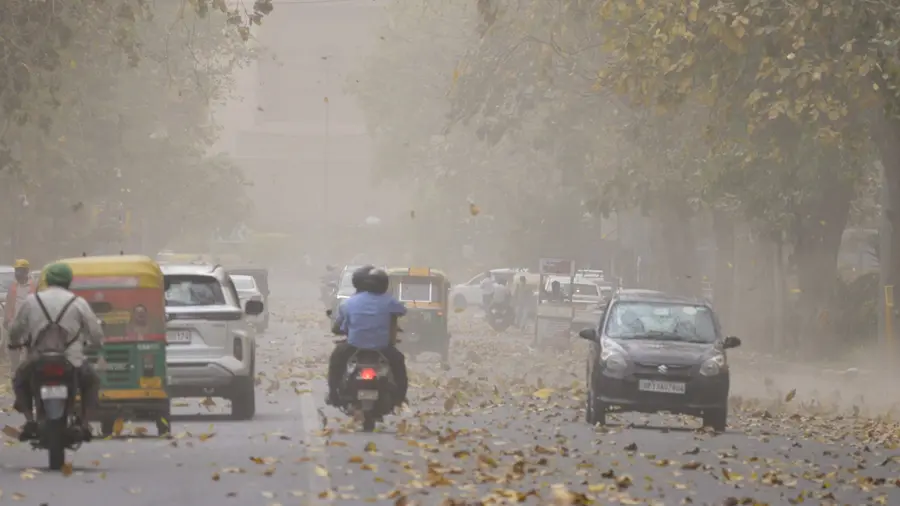 delhi weather