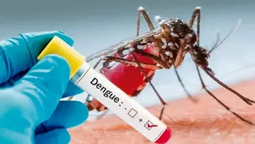 dengue fever