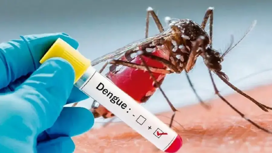 dengue fever