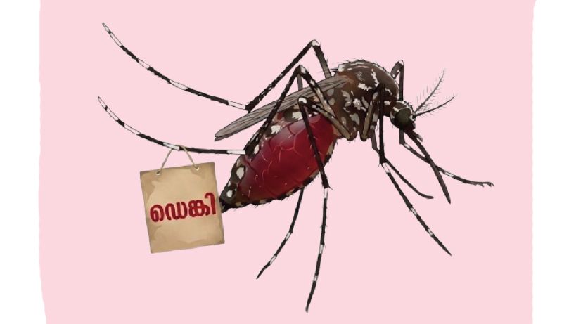 Dengue fever