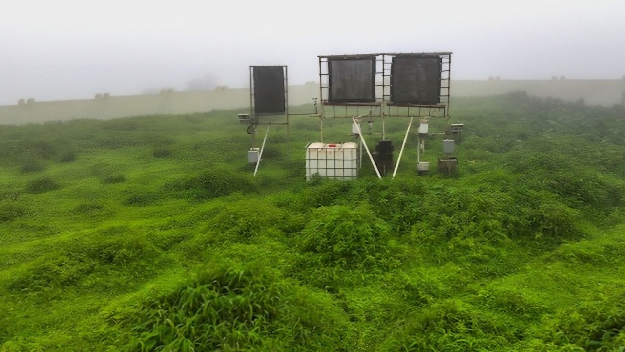 dhofar