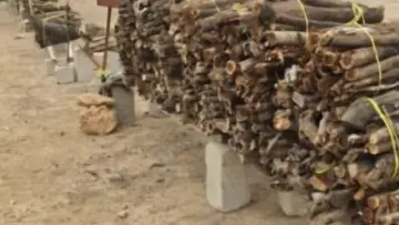 dhofar firewood