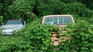 dhofar governorate vehicle