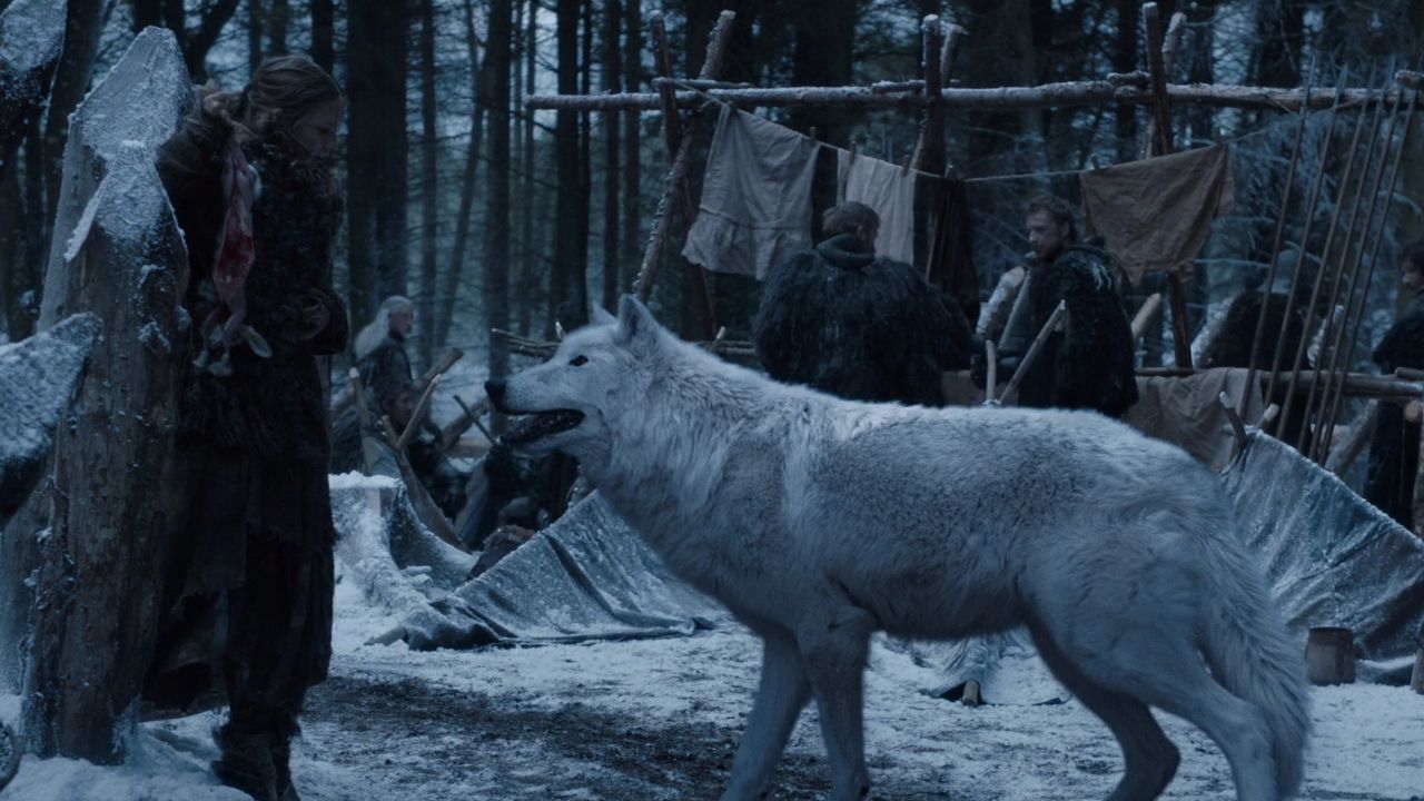 dire wolf