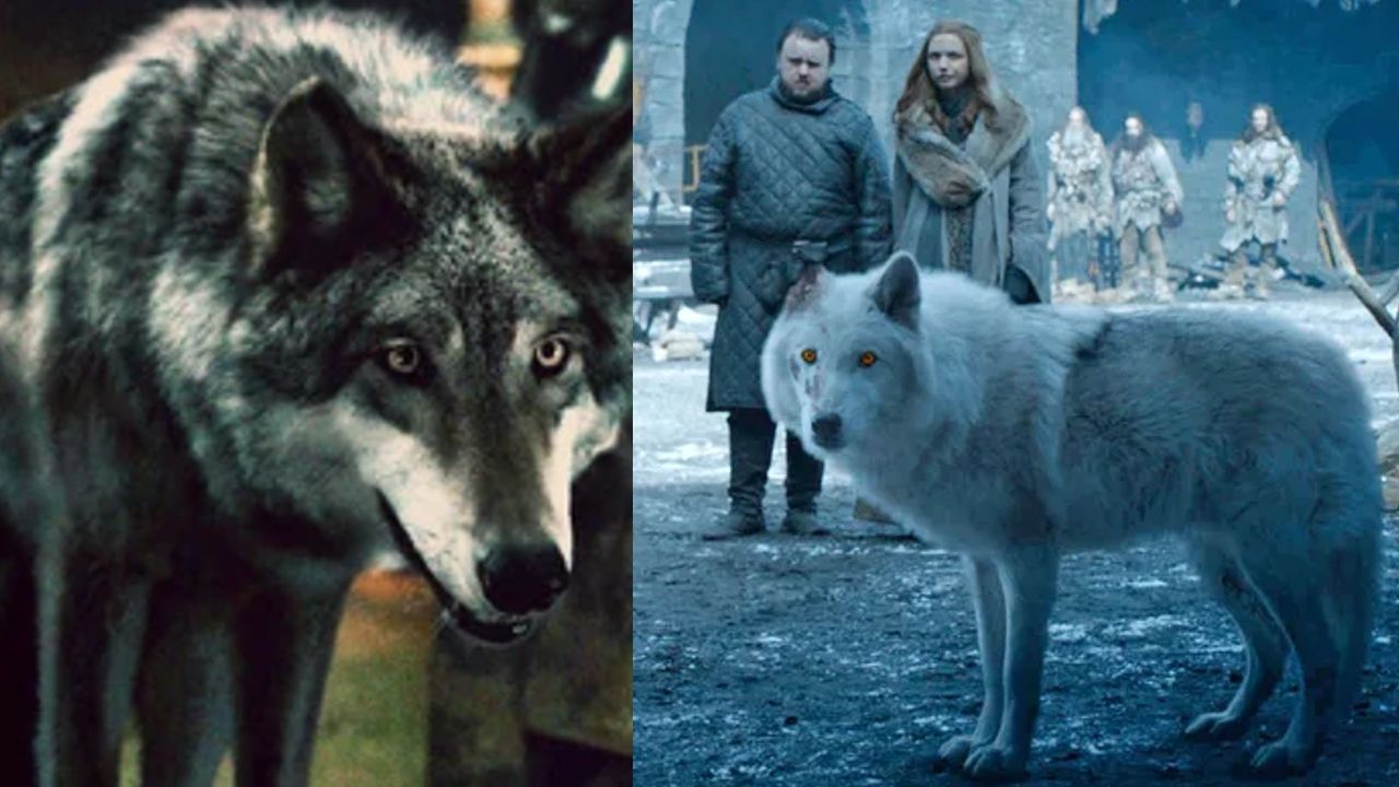 dire wolves