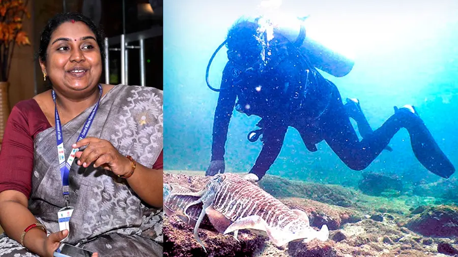divya viswambharan